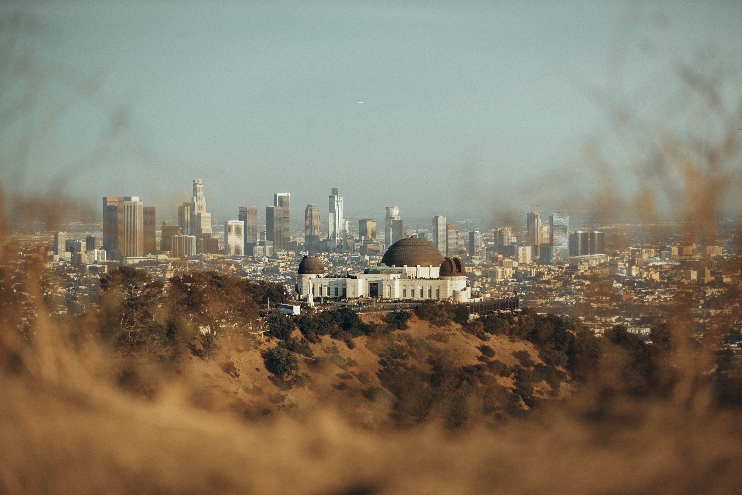 Everwill Law Los Angeles, CA Office