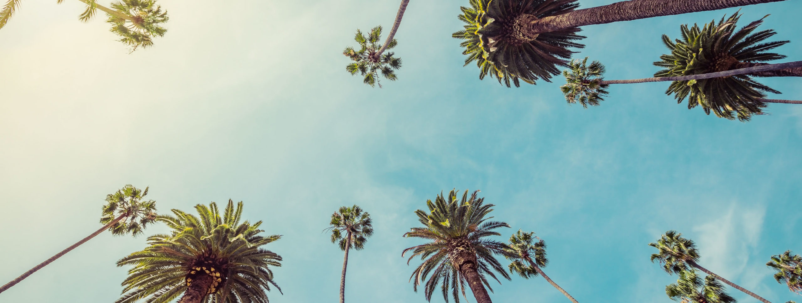 O'Rielly & Roche, LLP Los Angeles, CA Office