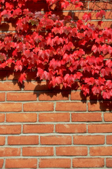 McCormick, Fitzpatrick, Kasper & Burchard, PC Burlington, VT Office