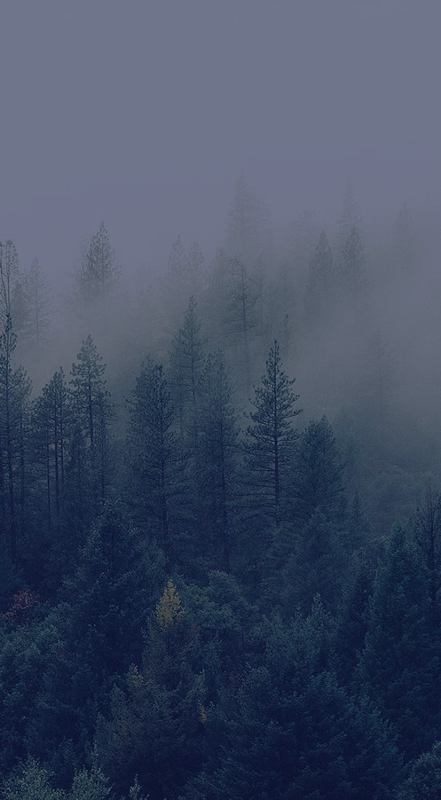 EVANS CASE, LLP Denver,  Office