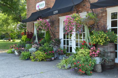 green mistretta law Wake Forest,  Office