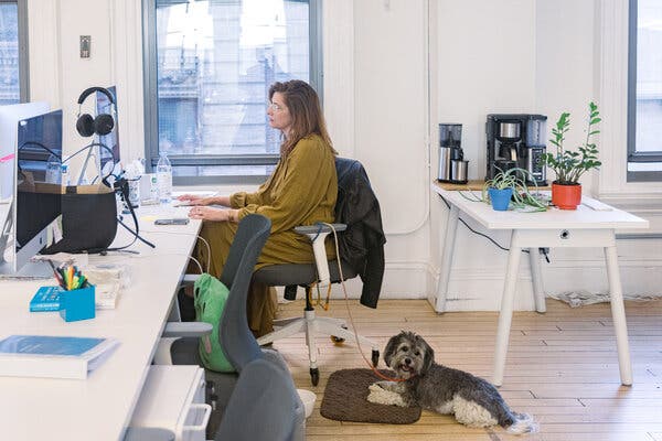 Binder & Binder New York City, NY Office