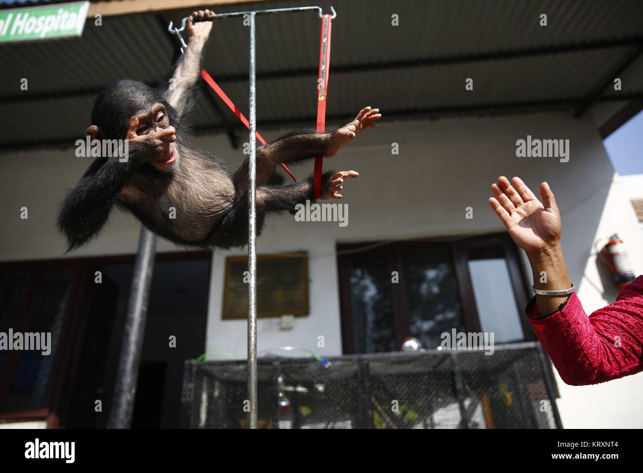 Reliance Law Firm Lalitpur, Nepal Office