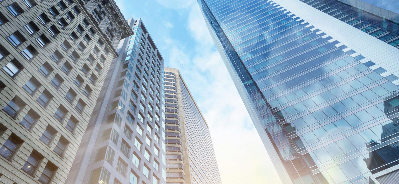 Cohen, LLC Denver,  Office