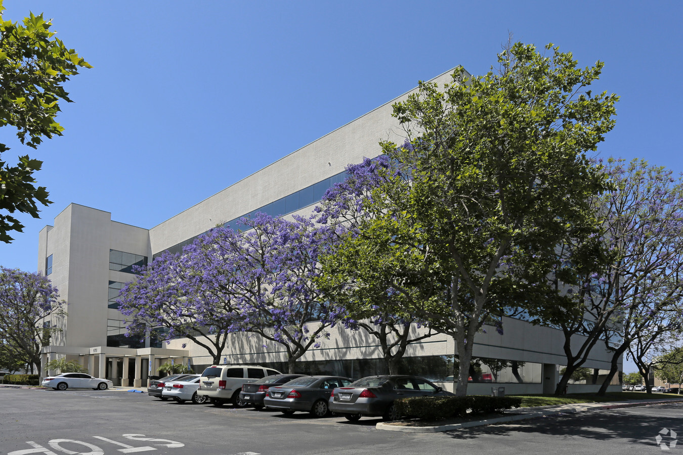 Lara & Luna, APC La Mirada,  Office
