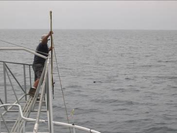 Davis Shapiro Lewit Grabel & Leven, LLP Beverly Hills, CA Office