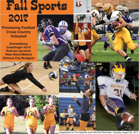 Davis, Brown, Koehn, Shors & Roberts, P.C Emmetsburg, IA Office