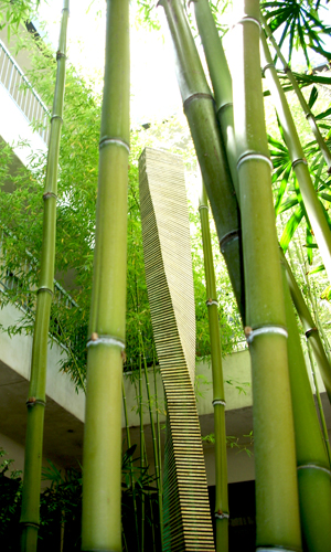 Selvin & Weiner APC Los Angeles, CA Office