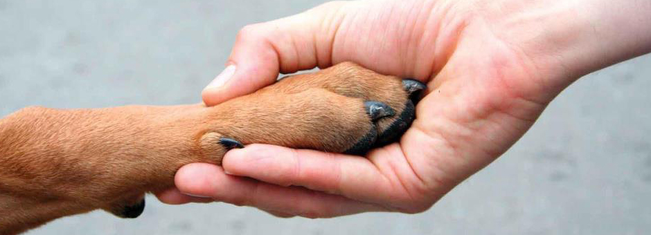 Holland & Muirden, Attorneys at Law Akron, OH Office