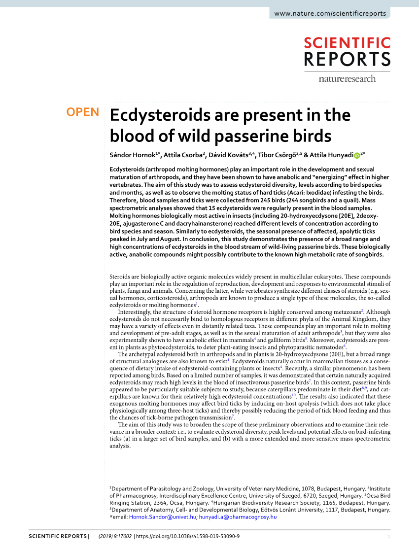 Bird & Bird Budapest, Hungary Office