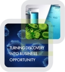 Elmore Patent Law Group, PC Chelmsford, MA Office