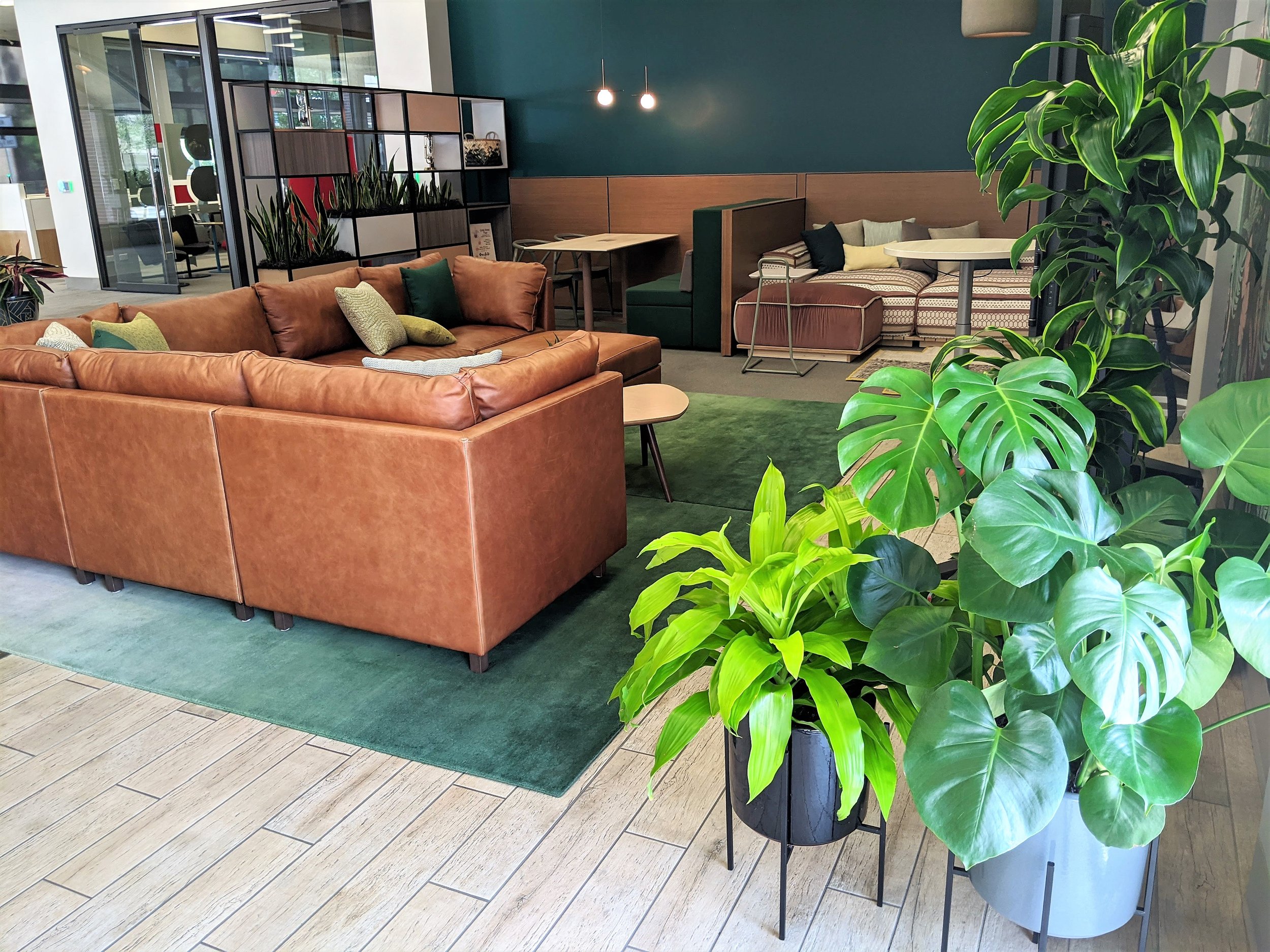 Thornton Byron LLP Boise, ID Office