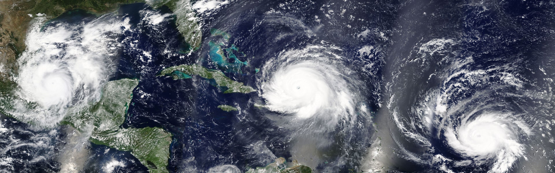 David Low & Associates, P.A Fort Lauderdale, FL Office