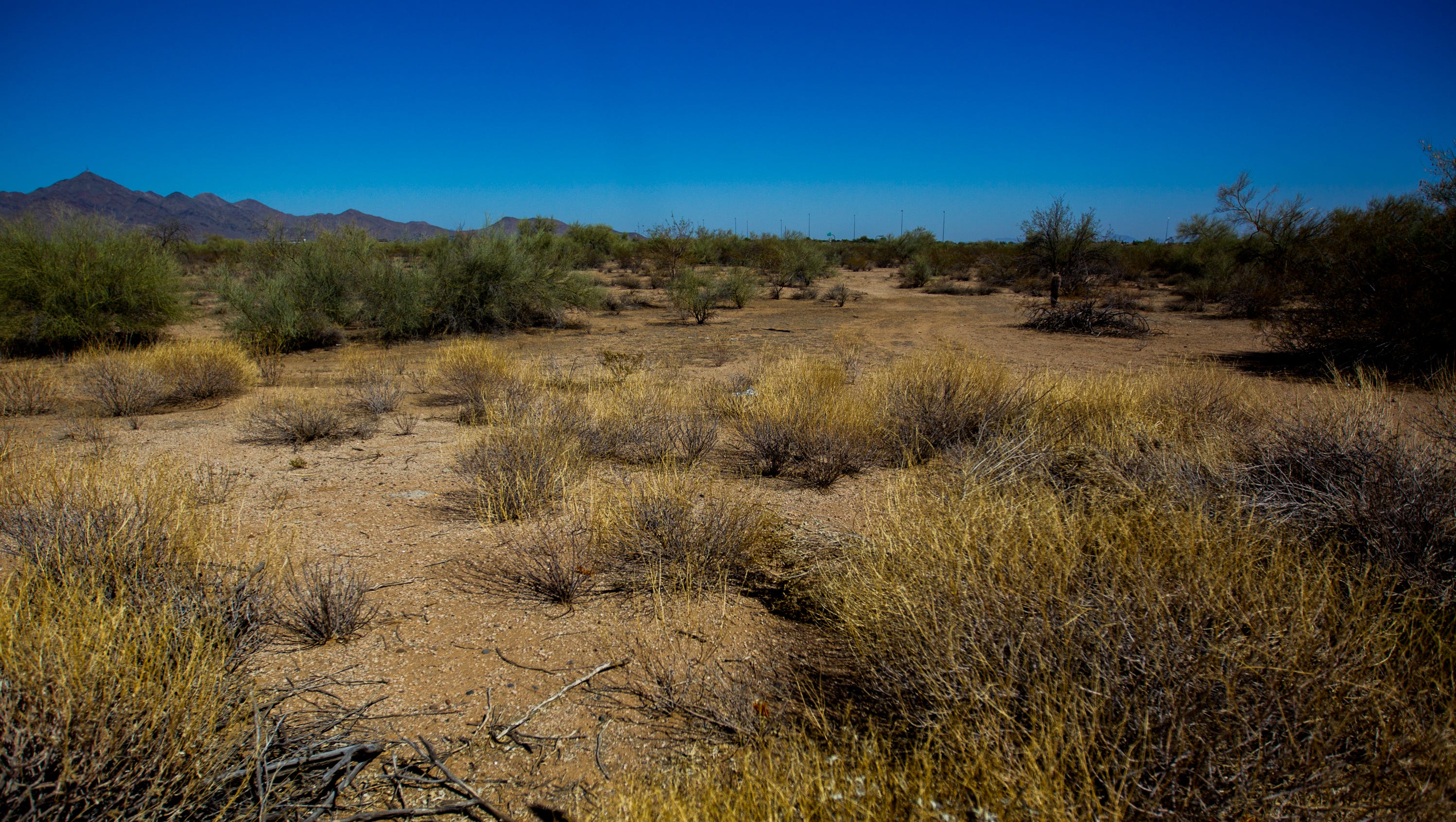Law Office of Thomas E. Price Kingman, AZ Office