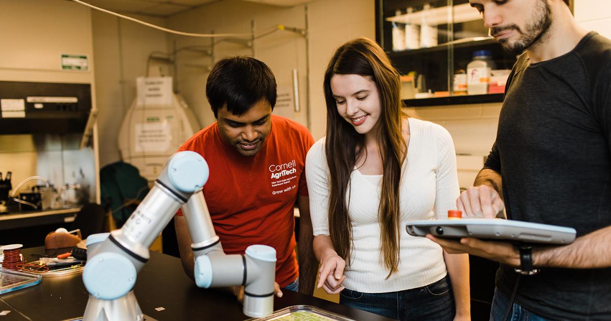 Brown & Michaels, P.C Rochester, NY Office