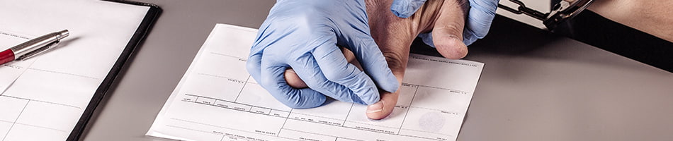 Lubiner Schmidt and Palumbo New York City, NY Office