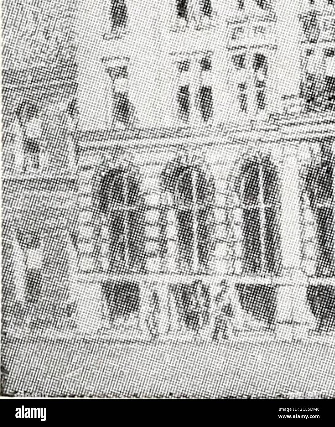 AVEK, IP Charlotte, NC Office