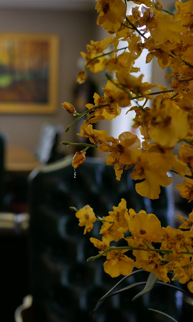 James & O'Brien Family Law Group Ridgeland, MS Office