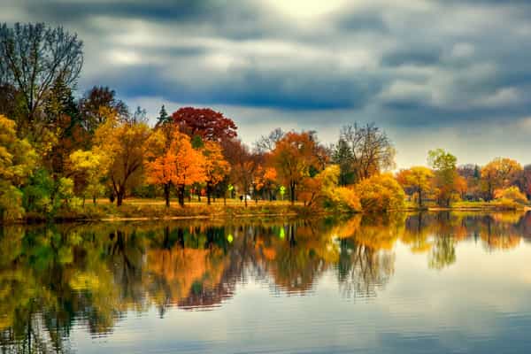 Cloutier Law Offices P.A Minneapolis,  Office