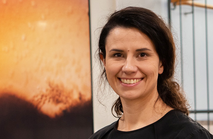 Abell Eskew Landau LLP New York City,  Office