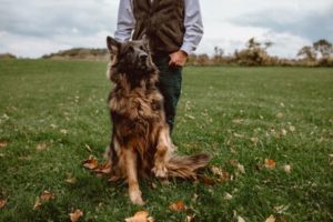 Friedman & Ranzenhofer, PC Orchard Park, NY Office