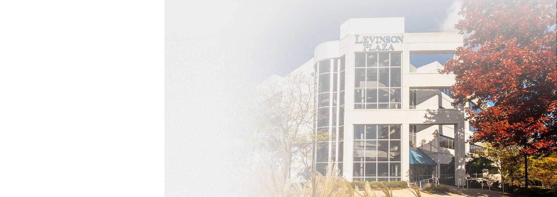 Buchman Law Firm, LLP Edison, NJ Office