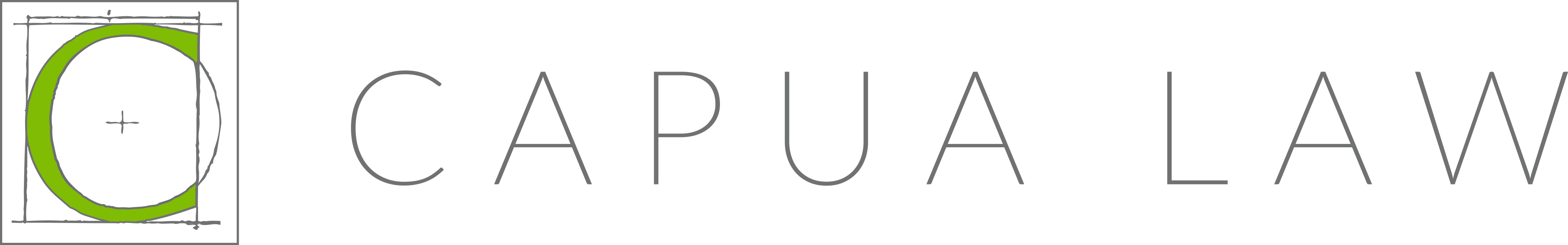 Capua Law Firm Asheville,  Office