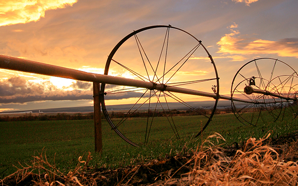 Minnick - Hayner Walla Walla, WA Office