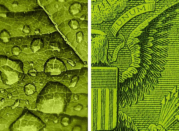 The Wilkes Partnership LLP Birmingham, United Kingdom Office