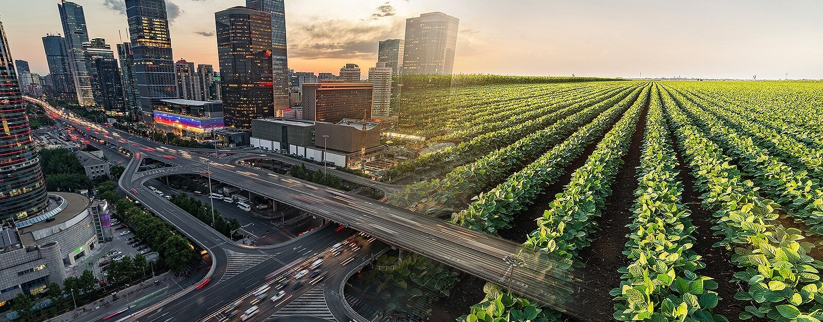 Sol Muntanola Abogados Barcelona, Spain Office