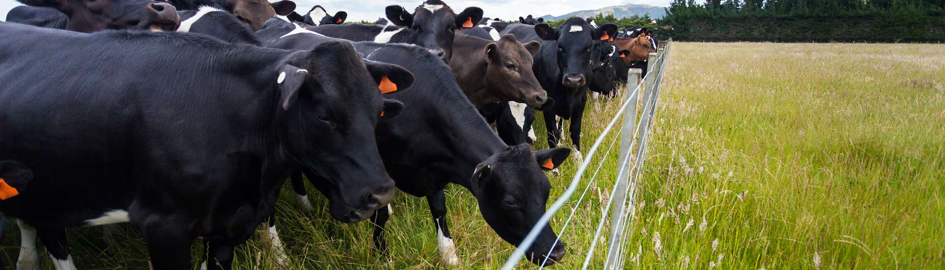 Brennan Steil SC Delavan, WI Office