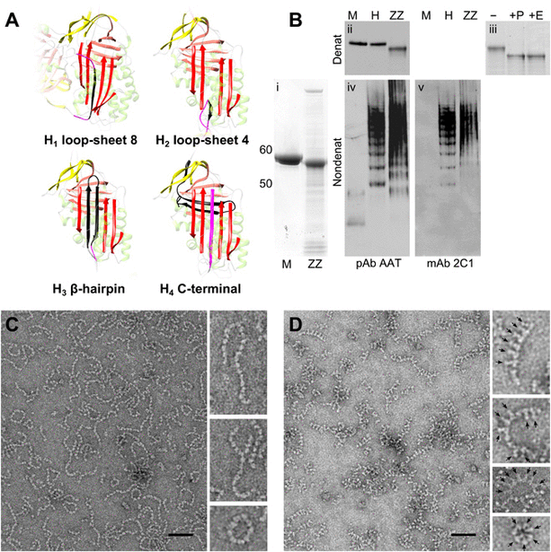 Smith Partnership Leicester, United Kingdom Office