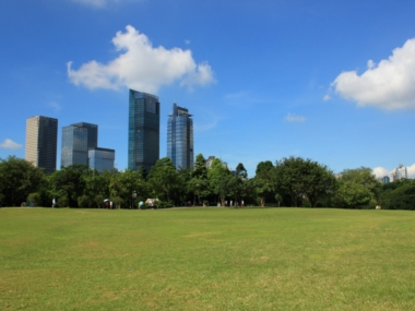 Zhong Lun Law Firm New York City, NY Office