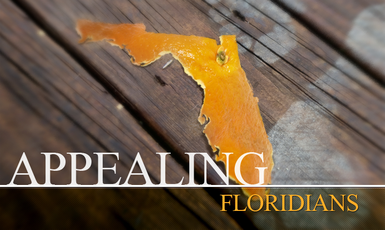 Alvarez, Winthrop, Thompson & Storey, P.A Gainesville, FL Office