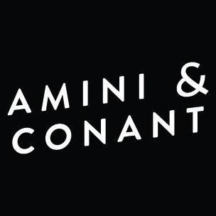 Amini & Conant, LLP New York City, NY Office