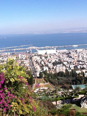 Prof. BEIN & Co Haifa District, Israel Office