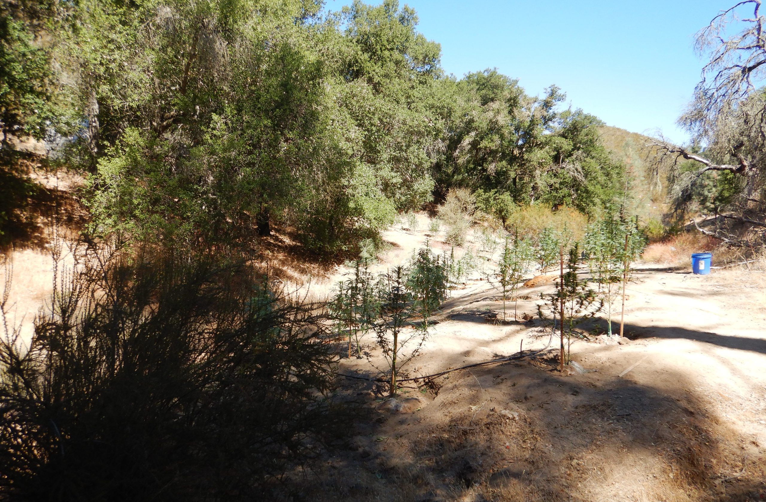 Ogden & Fricks, L.L.P San Luis Obispo, CA Office