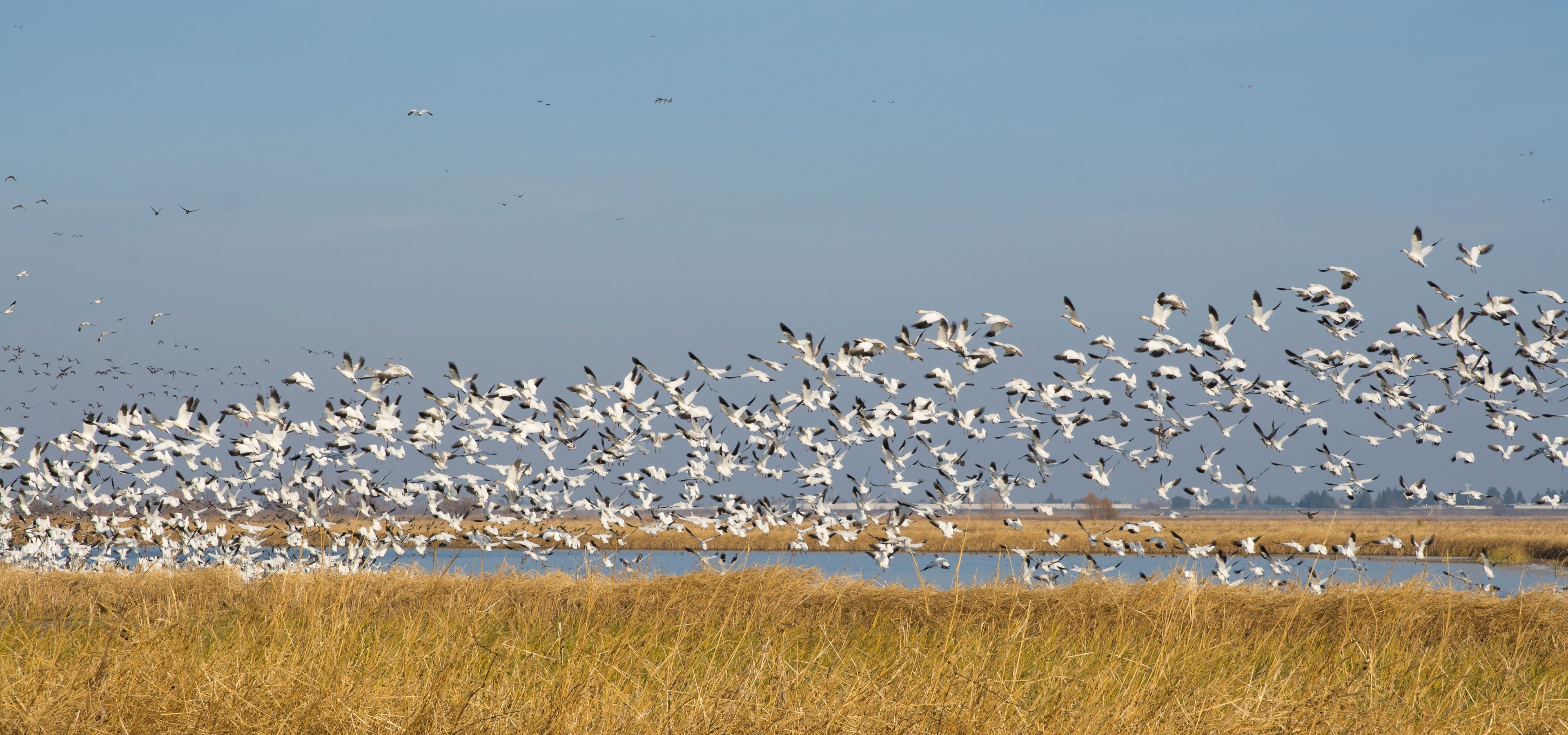 Kathleen Mezher & Associates, LLC Cincinnati, OH Office