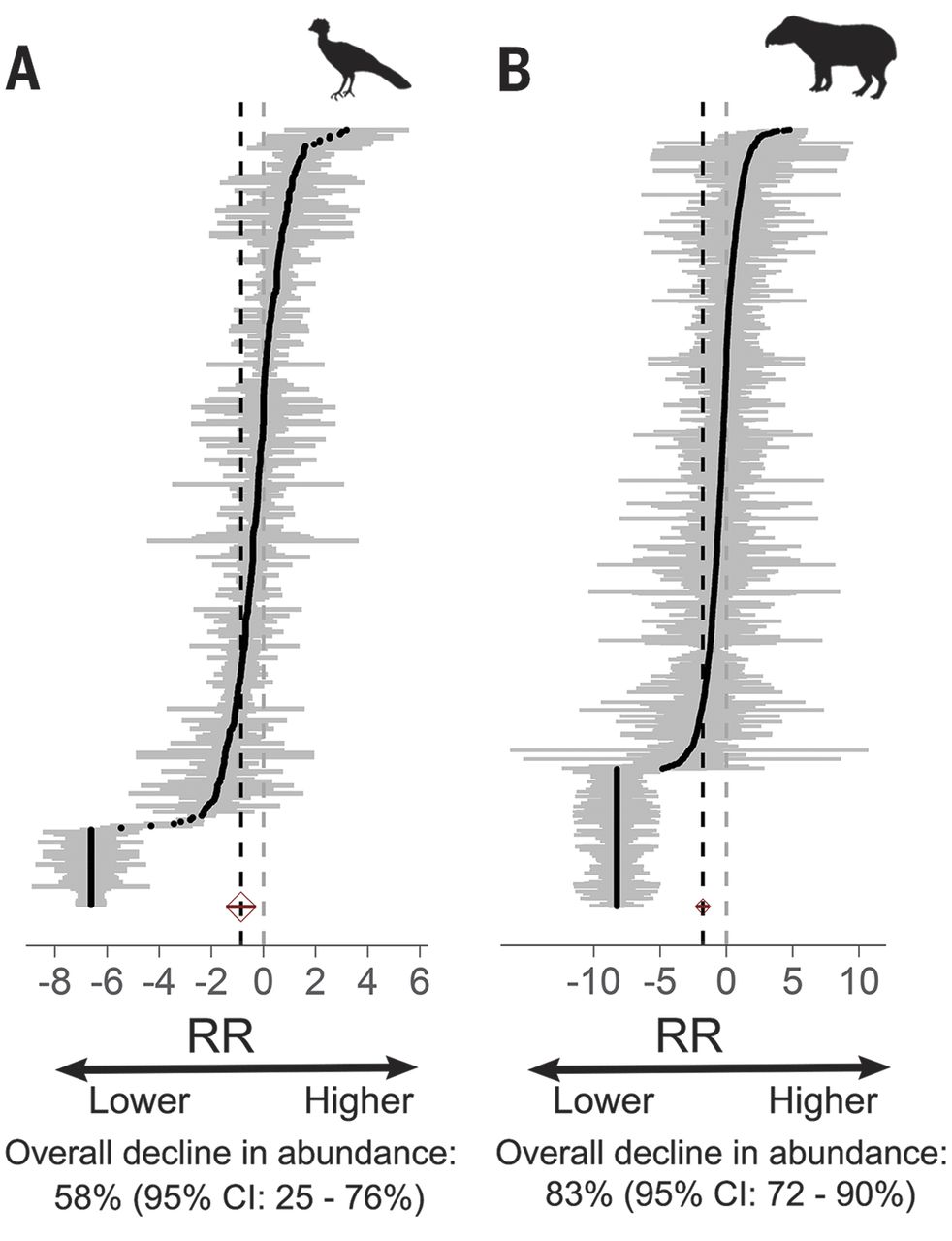 Bird & Bird The Hague, Netherlands Office