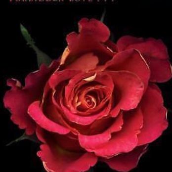 Law Offices of William W. Green & Associates Santa Ana, CA Office