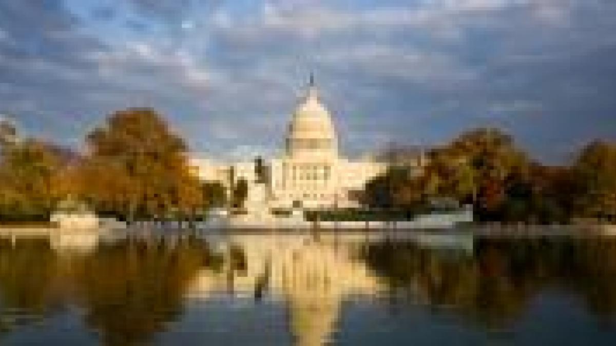 Nichols Zauzig Woodbridge,  Office