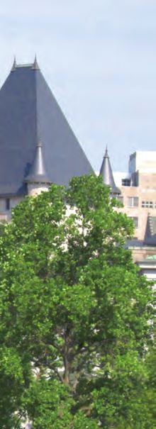 Alice Popovici Family law Westmount, Canada Office