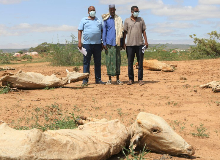 ORPAN Sociedad Civil Achumani, Bolivia Office