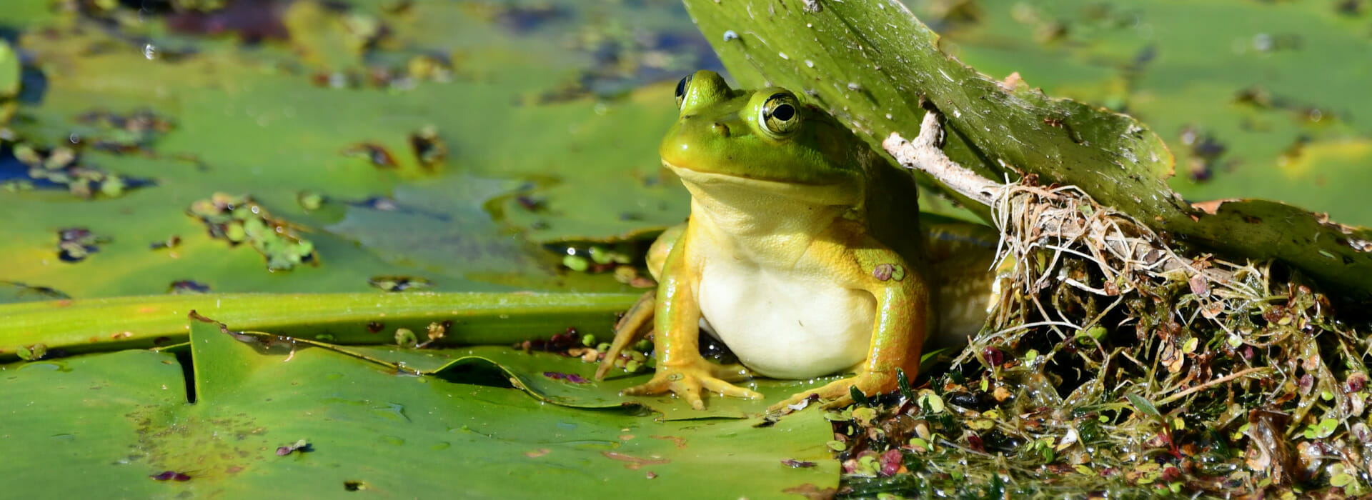 Brescoll & Brescoll, P.C Birmingham, MI Office