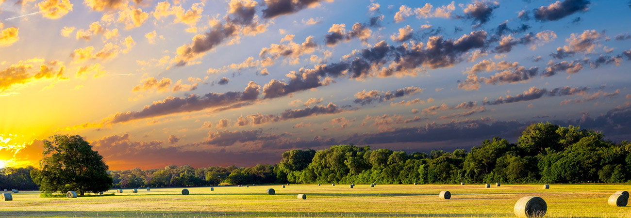 Carabin & Shaw, PC Seguin, TX Office