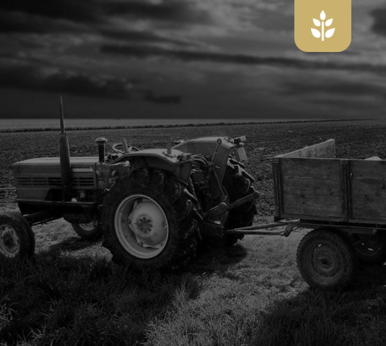 Sprouse Shrader Smith PLLC Amarillo, TX Office