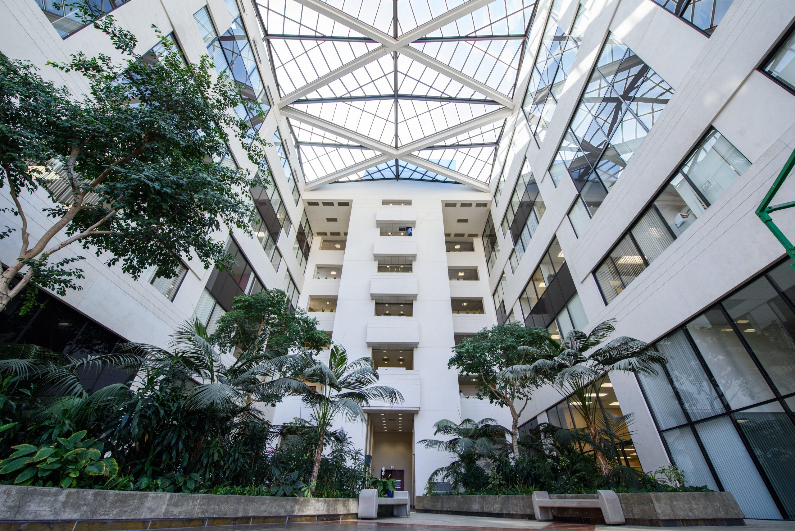 Keosian Law LLP Encino,  Office