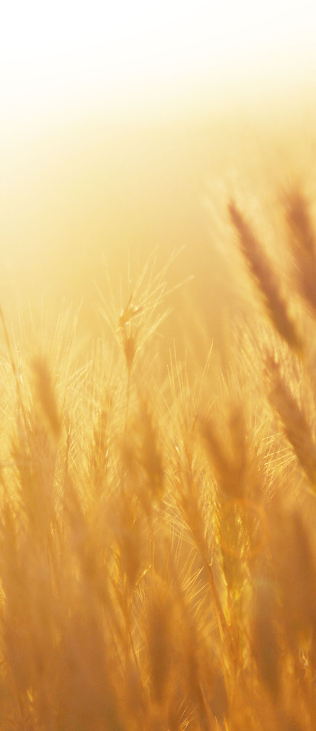 The Law Office of Jennifer F. Novak Rancho Palos Verdes,  Office