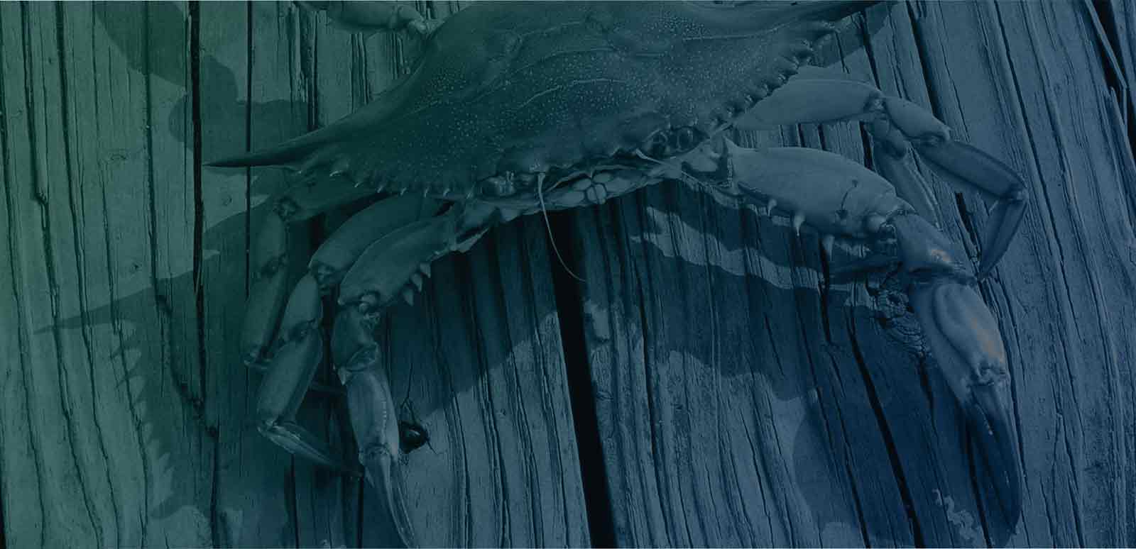 Rich & Henderson, P.C Annapolis, MD Office