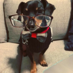 Clouse Brown Dallas,  Office